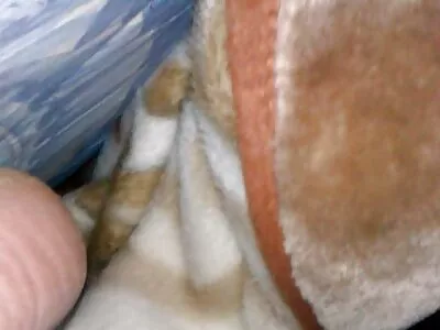 Édes hölgy Caroline 3pio porno megszokja a masszőrét