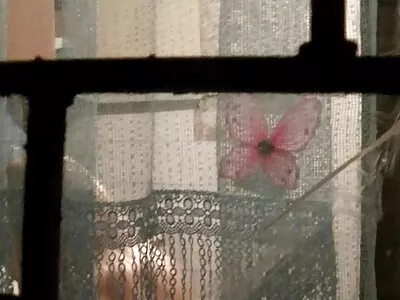 Nagy kakas ménes porno videok online lesz a húsos kakas szopta egy hippi csaj