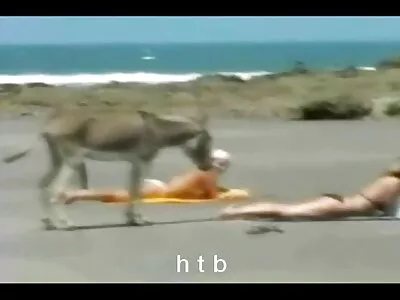 Gyönyörű barna tetszik egy pornófilm letöltés ingyen srácnak egy nyilvános helyen